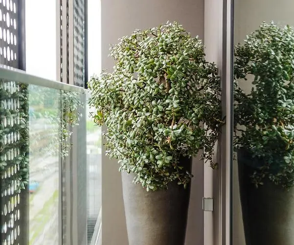 Apartament Slovenia Crib